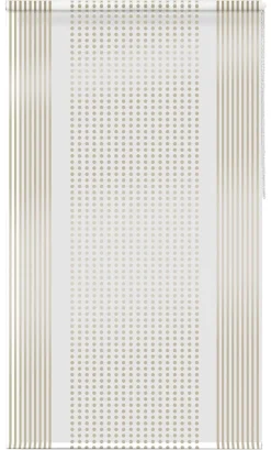Acus Duschrollo transparent Kunststoff B/L: ca. 140x240 cm