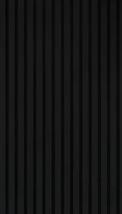 Akustikpaneel schwarz L/B/H: ca. 1,9x56,1x240 cm pro Stück