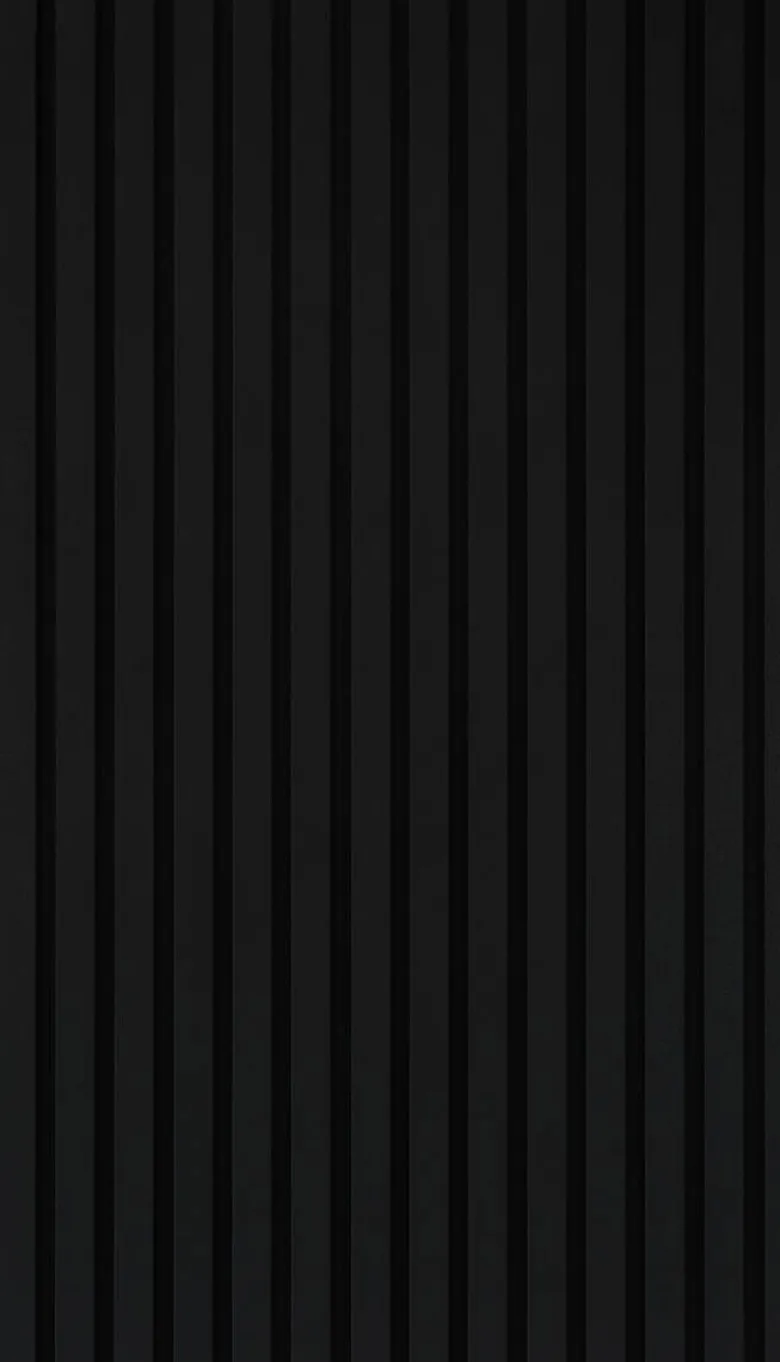 Akustikpaneel schwarz L/B/H: ca. 1,9x56,1x240 cm pro Stück