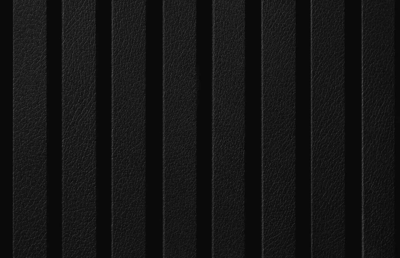 Akustikpaneel schwarz L/B/H: ca. 1,9x56,1x240 cm pro Stück