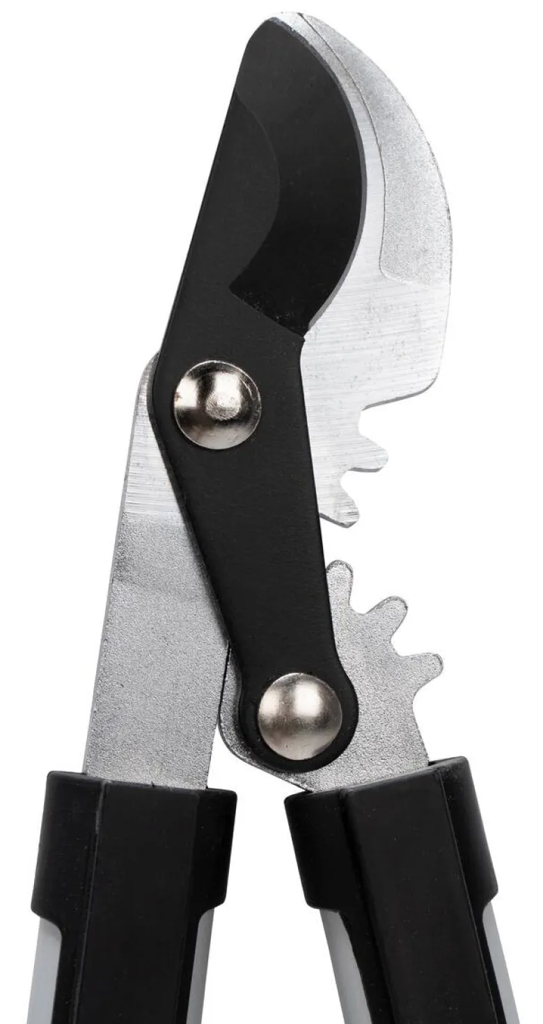 Astschere L: ca. 41 cm