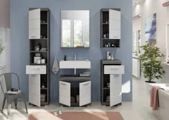 Badezimmer-Set Scout Eiche Rauchsilber Nachbildung weiß Hochglanz B/H/T: ca. 164x191x34 cm