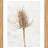 Bilderrahmen Eiche Eiche H/L: ca. 21x29,7 cm