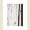 Bilderrahmen weiß Holz B/H/L: ca. 10,5x15x2 cm