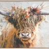 Bilder Tiere B/H/L: ca. 78x3,8x118 cm