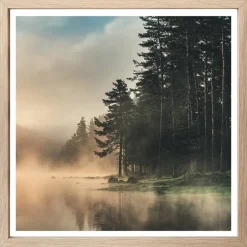 Bilder Wald