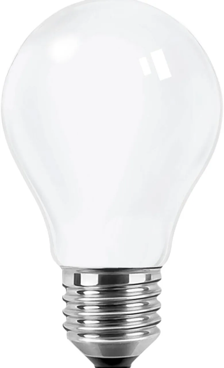 Blulaxa LED-Leuchtmittel E27