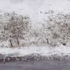 Bönninghoff Ölgemälde Wald B/H/L: ca. 120x2x40 cm