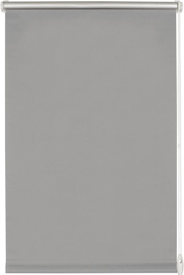 Boviva Thermo Klebe-/Klemmrollo Verdunklungsqualität silber B/L: ca. 120x150 cm