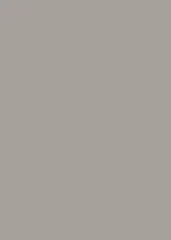 d-c-fix Dekofolie Uni Lack taupe B/L: ca. 45x200 cm