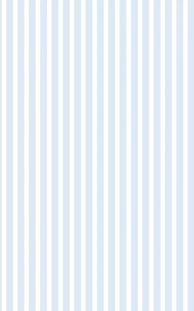 d-c-fix Fensterfolie Streifen B/L: ca. 45x150 cm