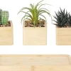 Deko-Pflanze natur Bambus B/H/L: ca. 11x20x29 cm
