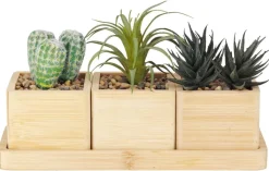 Deko-Pflanze natur Bambus B/H/L: ca. 11x20x29 cm
