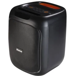 Denver Bluetooth-Party-LautsprecherBPS-165 schwarz B/H/T: ca. 28,5x37,5x27,5 cm