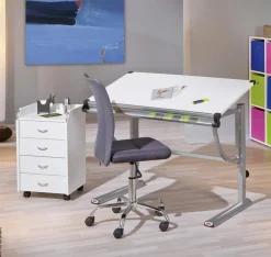 Drehstuhl Bonnie grau Kunststoff Metall