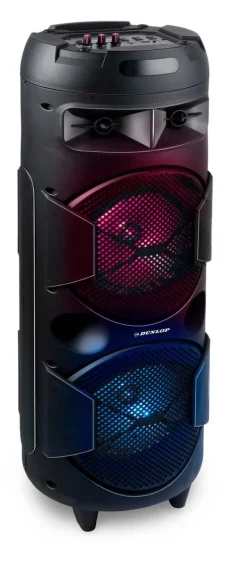 Dunlop Lautsprecher MW-538 H/D: ca. 80x28 cm