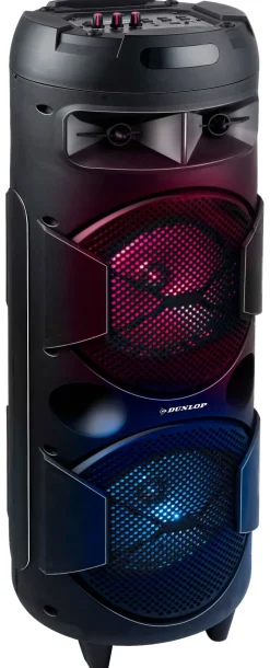 Dunlop Lautsprecher MW-538 H/D: ca. 80x28 cm