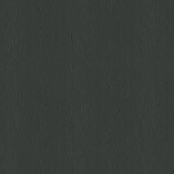 Erismann Vliestapete Holzoptik schwarz B/L: ca. 53x1005 cm