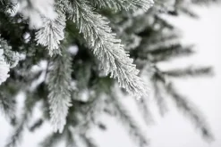 Evergreen Weihnachtsbaum Cedar Kiefer grün PVC B/H: ca. 114x210 cm