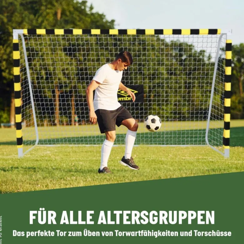 Fußballtor schwarz B/H/T: ca. 300x200x110 cm