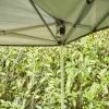 Gardamo Pavillon EASYUP Stahl Polyester B/H/L: ca. 300x270x300 cm