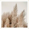Gerahmtes Bild Gräser B/L: ca. 35x35 cm