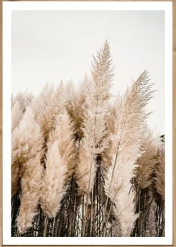 Gerahmtes Bild Natur B/H: ca. 70x50 cm
