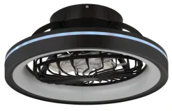 GLOBO LED-Deckenventilator DEANNE 3665 Opal schwarz H/D: ca. 20x48 cm max. 40 W