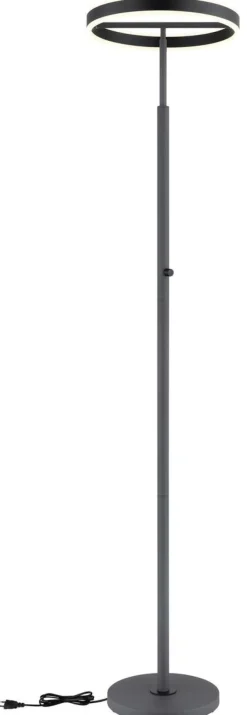GLOBO Stehlampe schwarz anthrazit Opal Metall Acryl Aluminium H/D: ca. 181x40 cm 1 Brennstellen