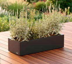 Herstera Garden Pflanzkübel Cube anthrazit Metall B/H/L: ca. 100x25x40 cm