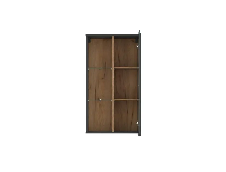 Hängevitrine Neo Eiche Evoke Oak Nachbildung anthrazit B/H/T: ca. 55x101x32 cm