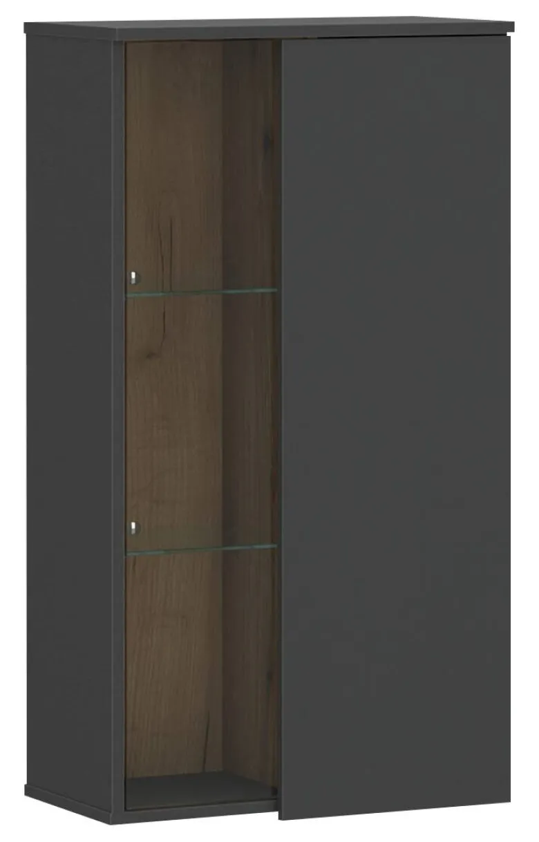 Hängevitrine Neo Eiche Evoke Oak Nachbildung anthrazit B/H/T: ca. 55x101x32 cm