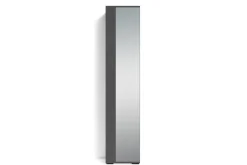 Hochschrank BEN anthrazit Spiegel B/H/T: ca. 40x184x35 cm