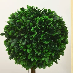 HOMCOM Kunstpflanze grün Polyethylen B/H/L: ca. 28x28x60 cm