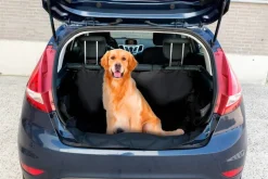 Hundedecke Auto Kofferraum schwarz Polyester B/H/L: ca. 104x33x155 cm