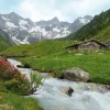 Keilrahmenbild