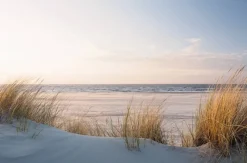Keilrahmenbild Strand B/L: ca. 118x78 cm