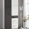 Kleiderschrank Click Alpinweiß Graphit B/H/T: ca. 90x199x58 cm