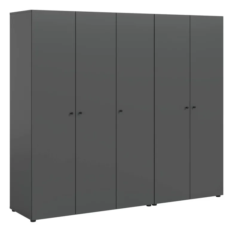 Kleiderschrank DARWIN anthrazit B/H/T: ca. 200x176x51 cm