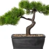 Kunstpflanze Bonsai-Lärche grau Kunststoff B/H: ca. 25x23 cm