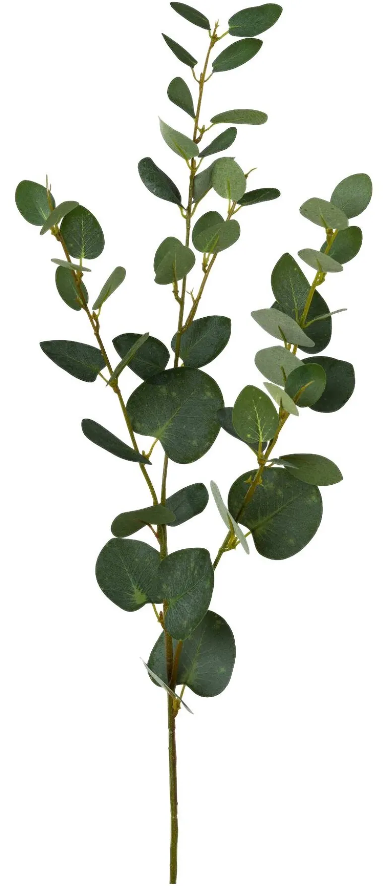 Kunstpflanze Eukalyptuszweig grün Kunststoff H: ca. 79 cm