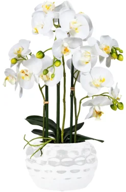 Kunstpflanze Orchidee weiß Kunststoff H: ca. 55 cm