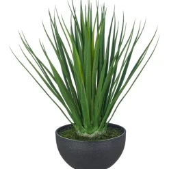 Kunstpflanze Yucca-Gloriosa schwarz Kunststoff H: ca. 48 cm