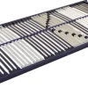 Lattenrost Tectronic NV blau Liegefläche B/L: ca. 90x200 cm