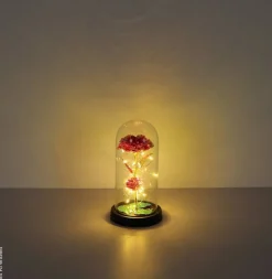 LED-Dekoleuchte B/H: ca. 11x21 cm