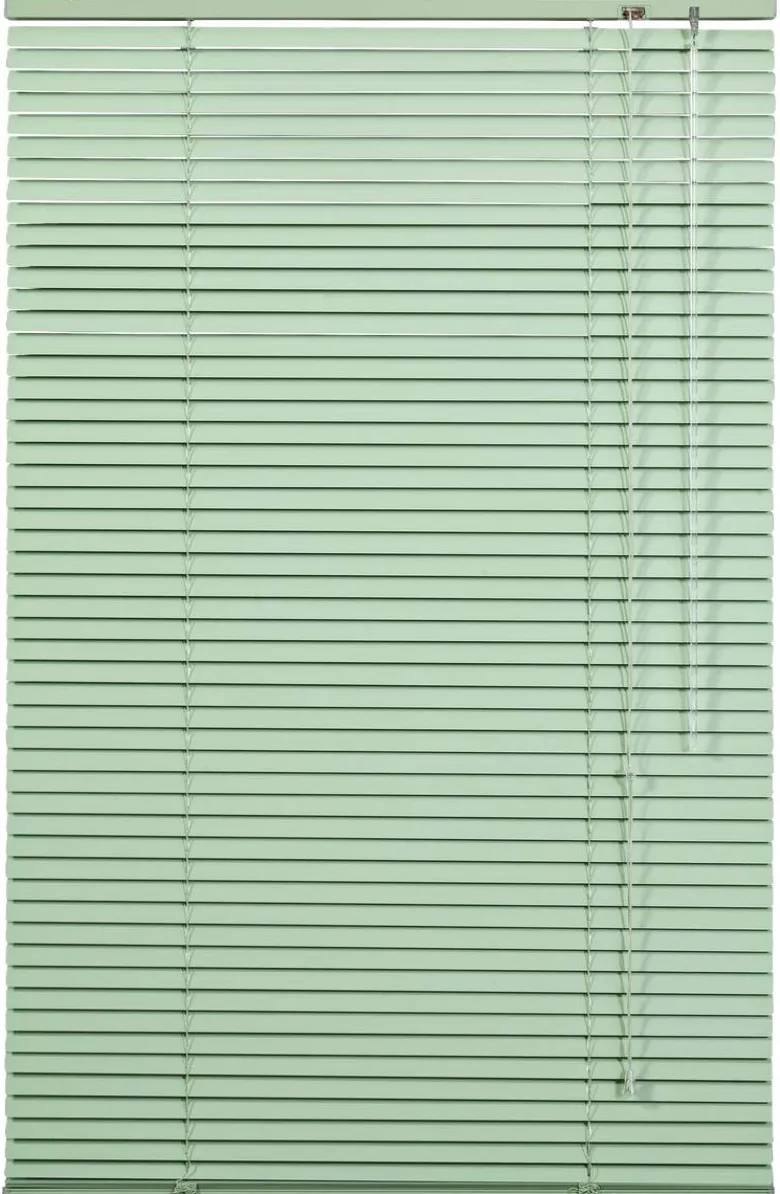 LICHTBLICK Alu-Jalousie grün B/L: ca. 70x220 cm