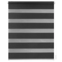 LICHTBLICK Doppelrollo Duo anthrazit B/L: ca. 55x150 cm