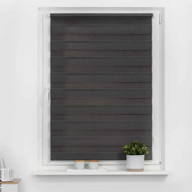 LICHTBLICK Doppelrollo Duo anthrazit B/L: ca. 60x220 cm