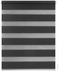 LICHTBLICK Doppelrollo Duo anthrazit B/L: ca. 60x150 cm