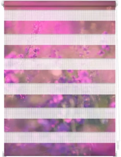 LICHTBLICK Doppelrollo Duo Blumenwiese violett B/L: ca. 80x150 cm